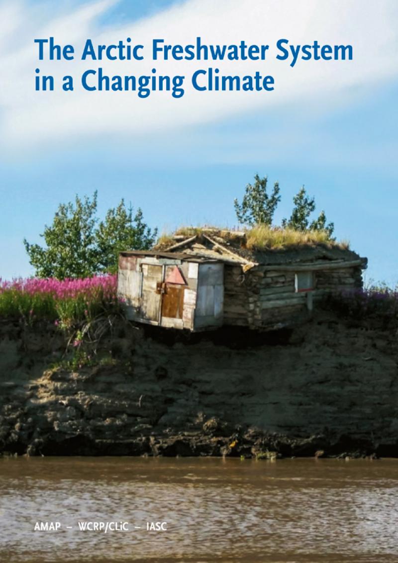 The Arctic Freshwater System in a Changing Climate