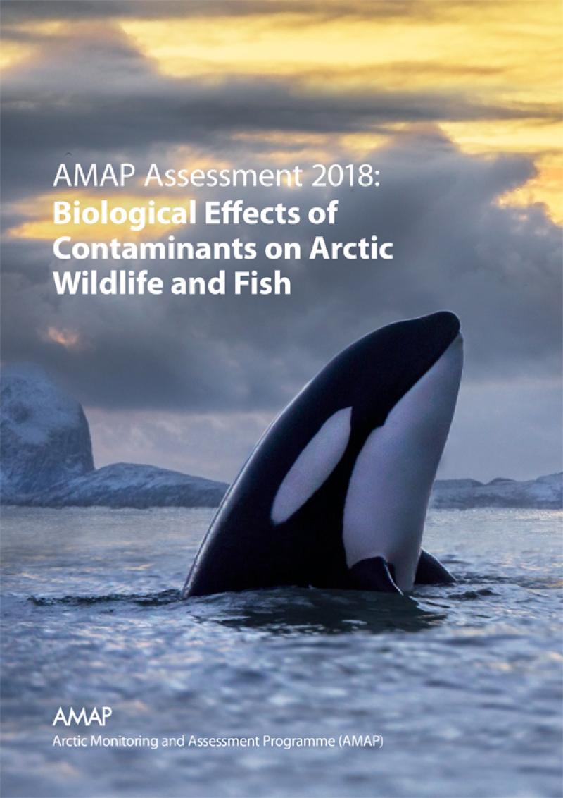 AMAP Assessment 2018: Biological Effects of Contaminants on Arctic Wildlife and Fish