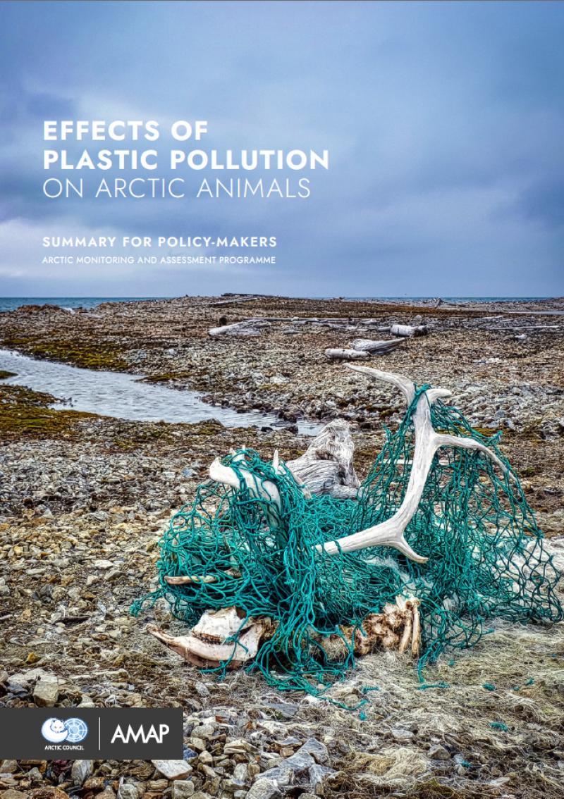 Effects of Plastic Pollution on Arctic Animals. Summary for Policy-makers.