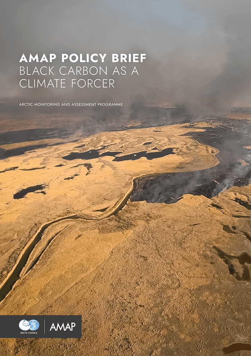 AMAP Policy Brief: Black Carbon as a Climate Forcer