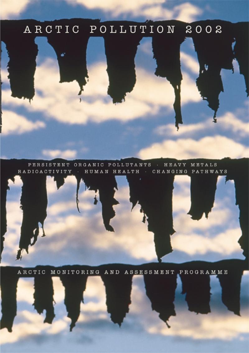 Arctic Pollution 2002