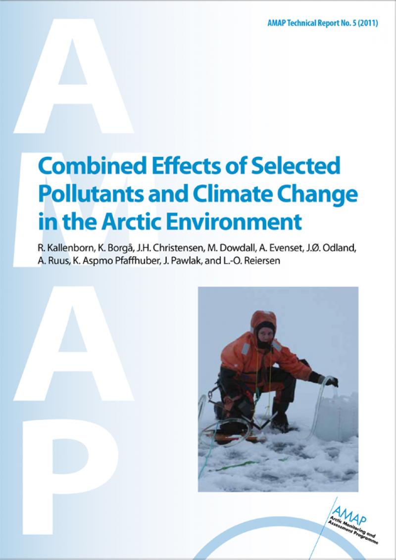 Combined Effects of Selected Pollutants and Climate Change in the Arctic Environment